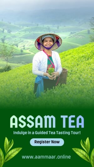 Green Assam Tea Tasting Tour Promo Mobile Video