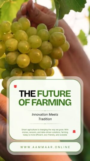 Green & White Simple Modern Agriculture Mobile Video