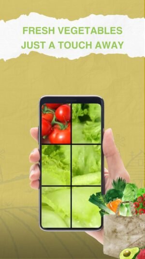 Green & Red Fresh Vegetables Sale Instagram Reel