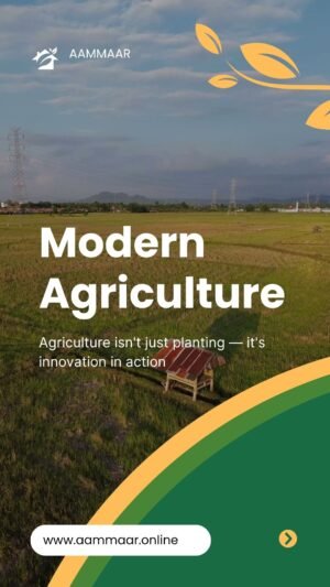 Green & Yellow Modern Agriculture Mobile Video